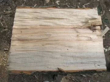 [Hearth.com] Ash or Poplar?