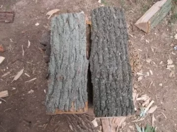 [Hearth.com] Ash or Poplar?