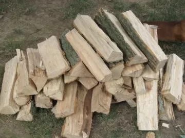 [Hearth.com] Ash or Poplar?