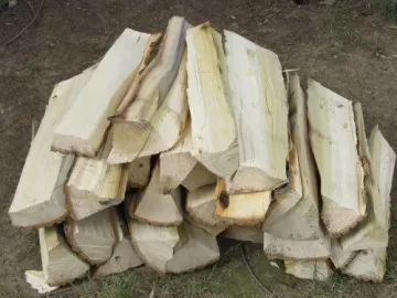[Hearth.com] Ash or Poplar?