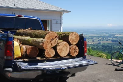 [Hearth.com] Kindling, boys help, 100 days and what's the difference between these 2 splits