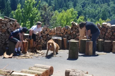 [Hearth.com] Kindling, boys help, 100 days and what's the difference between these 2 splits