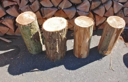 [Hearth.com] Kindling, boys help, 100 days and what's the difference between these 2 splits