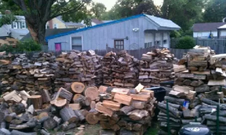 [Hearth.com] Honey Locust, Thornless/ Scrounge Pics