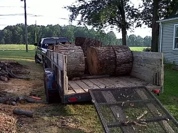 [Hearth.com] Large Wood Rounds (Silver Maple) Splitting Vertical!!