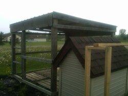 Dog Shed to Kennel Phase 1.jpg
