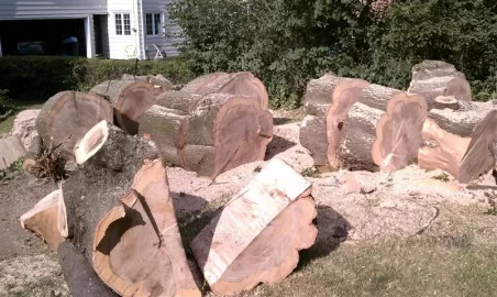 [Hearth.com] the butcher strikes again .... 3+ cords Red Oak