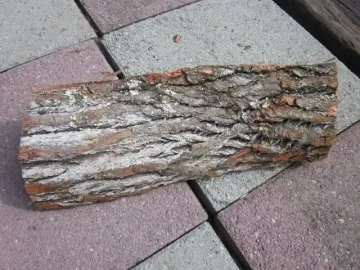 [Hearth.com] Please ID wood