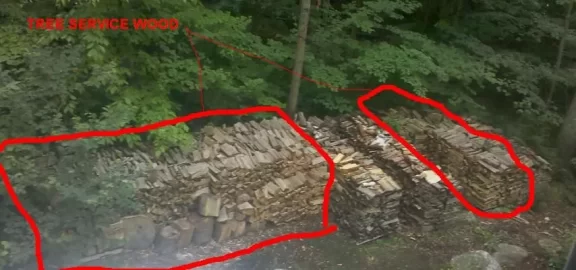 [Hearth.com] hired a tree service to drop some trees