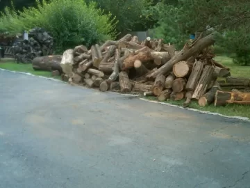 [Hearth.com] not 100% scrounge
