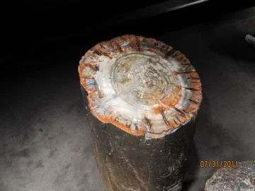 [Hearth.com] Ok experts, wood ID
