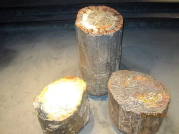 [Hearth.com] Ok experts, wood ID