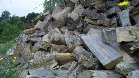 [Hearth.com] Load it in the shed or give it another year?