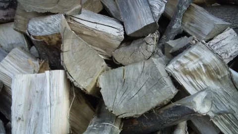[Hearth.com] Load it in the shed or give it another year?