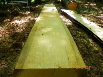 [Hearth.com] Milled Pine from Today