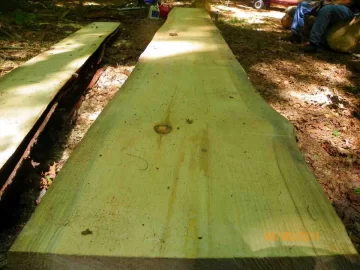 [Hearth.com] Milled Pine from Today