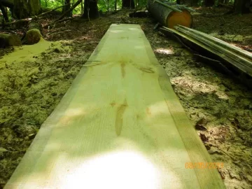 [Hearth.com] Milled Pine from Today