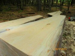 Milled Pine from Sunday 8/7/2011