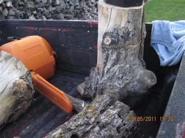 [Hearth.com] Wood ID