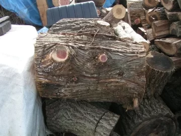 [Hearth.com] Anyone burn any cedar?