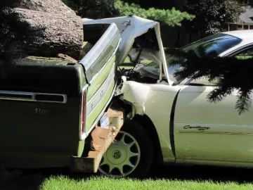 [Hearth.com] Totaled Wood Hauler