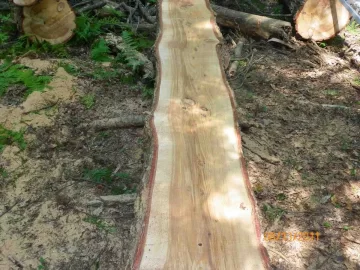 [Hearth.com] Some Hemlock Milled