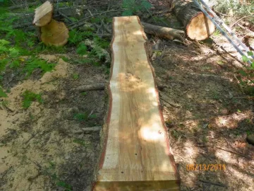 [Hearth.com] Some Hemlock Milled