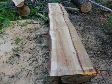[Hearth.com] Some Hemlock Milled