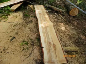 [Hearth.com] Some Hemlock Milled