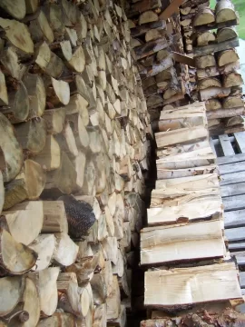 [Hearth.com] 3 weeks of rain, wet wood to the shed