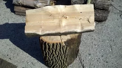 [Hearth.com] Finally got back in the woods.