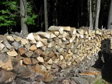 [Hearth.com] Back To Firewood