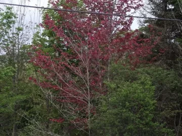 [Hearth.com] Early signs Autum is on the way.
