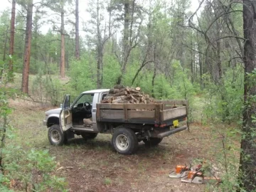 [Hearth.com] scrub oak adventures...