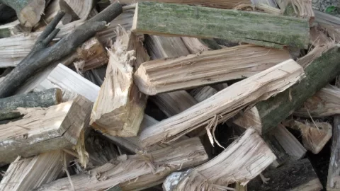 [Hearth.com] Need Help w/ Wood ID