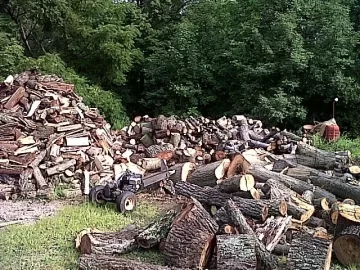 [Hearth.com] Got enough.. Now time for Oak.....