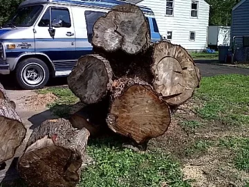 [Hearth.com] Got enough.. Now time for Oak.....