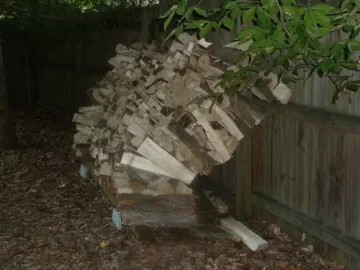 [Hearth.com] Hope my stacks are still standing