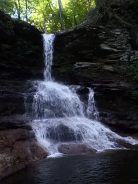 [Hearth.com] Ricketts Glen State Park....