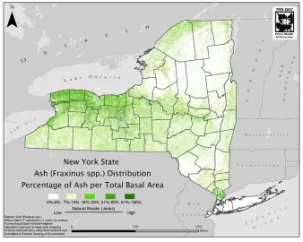 [Hearth.com] Bad News for NY Scroungers