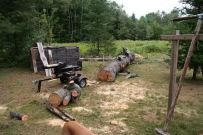 [Hearth.com] Power line Spruce, White pine, and Maple