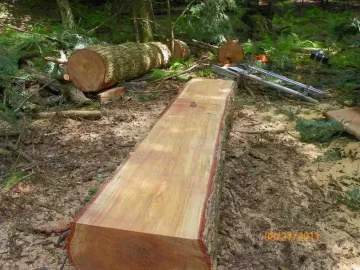 [Hearth.com] Some Milled Hemlock