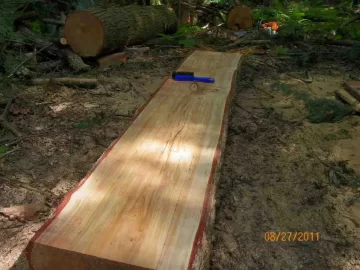 [Hearth.com] Some Milled Hemlock