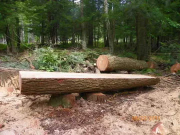 [Hearth.com] Some Milled Hemlock