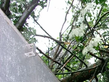 [Hearth.com] When a tree falls in you backyard, it does make a noise...