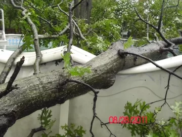 [Hearth.com] When a tree falls in you backyard, it does make a noise...