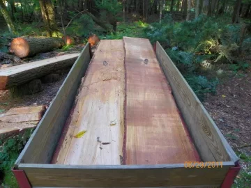 [Hearth.com] Beech Down