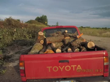 [Hearth.com] Some of the wood for next year, and future