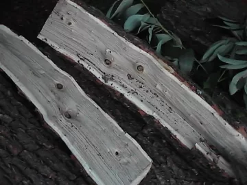 [Hearth.com] wood id please ?