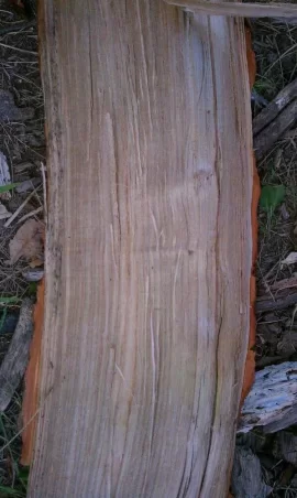 [Hearth.com] wood id please ?
